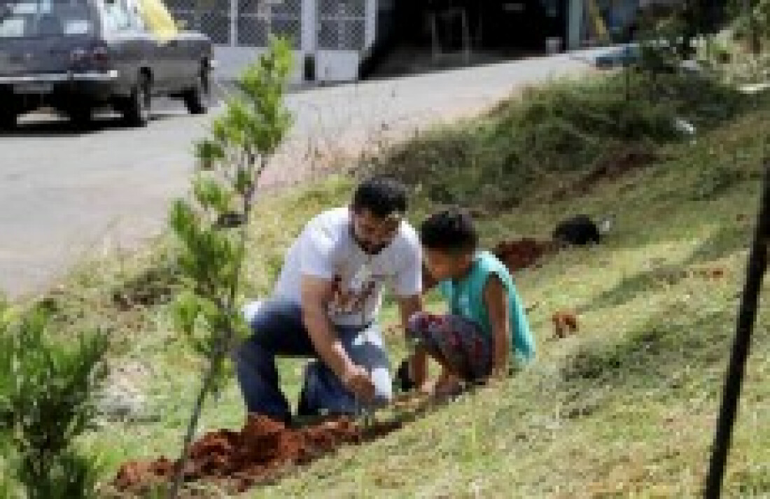 Fundo Social faz o plantio de 40 árvores frutíferas