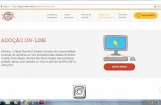 Correios permite adoção online