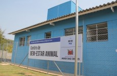 Prefeitura abre licitação para o Centro de Bem Estar Animal