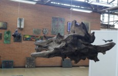 Exposição e Suzano