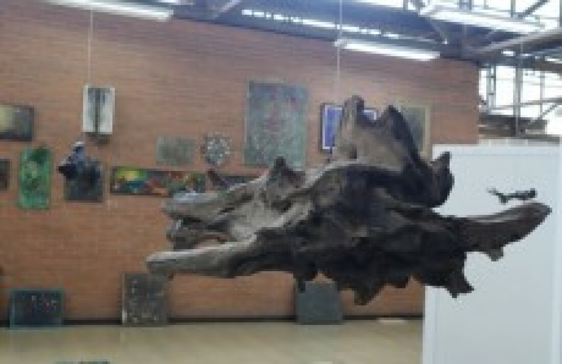 Exposição e Suzano
