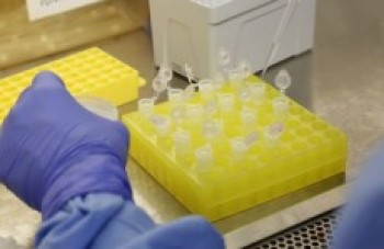 Estado descarta caso suspeito de coronavírus no município