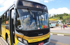 Renovação na frota traz melhorias ao transporte