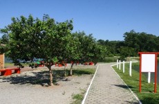 Atrações do Festival de Verão animam o final de semana