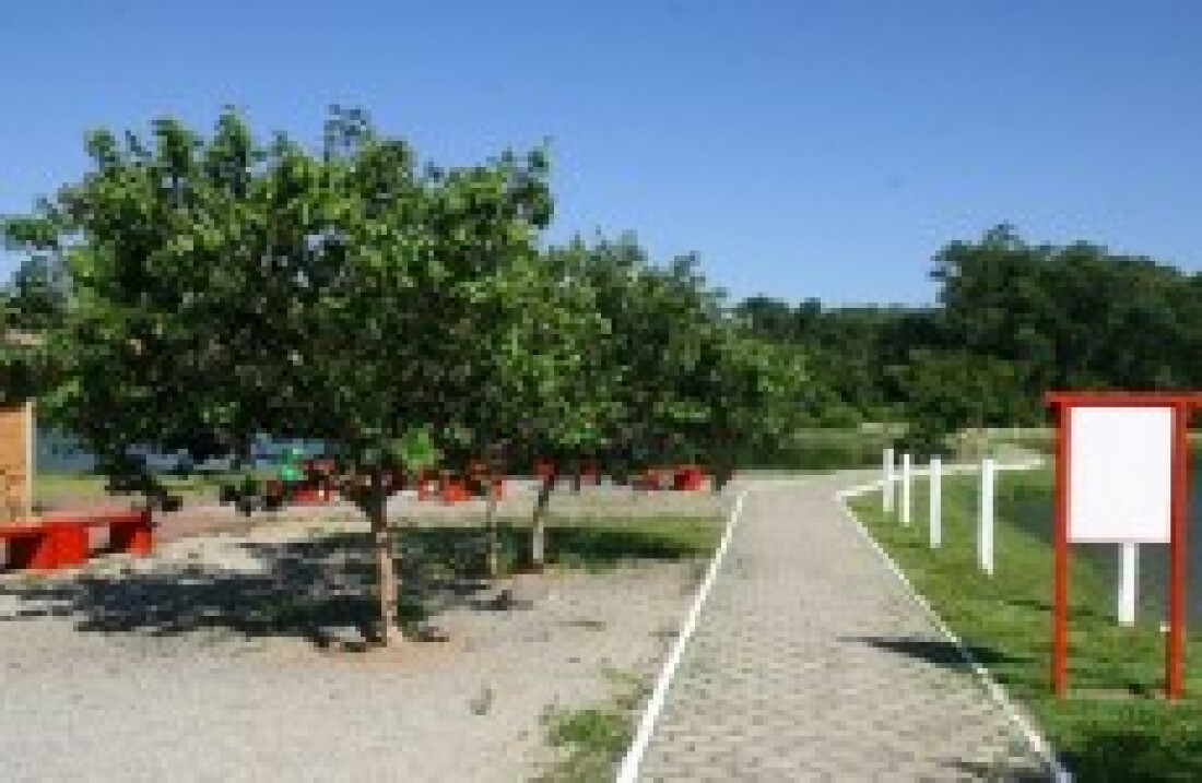Atrações do Festival de Verão animam o final de semana