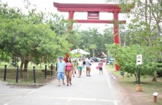 Dança é atração no Centenário
