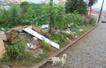 Prefeitura de Mogi notifica 197 imóveis com várias irregularidades