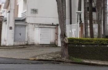 Árvores comprometidas serão removidas na Vila Oliveira