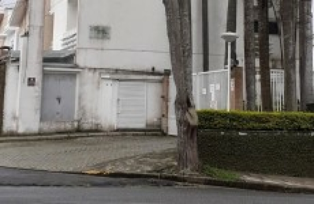 Árvores comprometidas serão removidas na Vila Oliveira