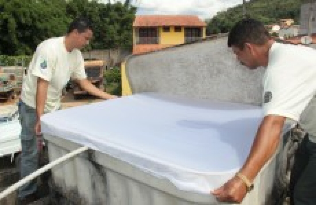 Pesquisa constata baixo risco de dengue na região
