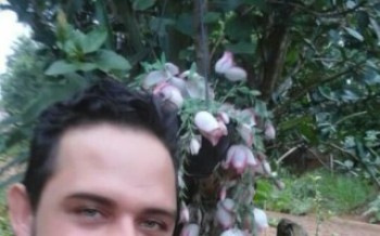 Setor de Homicídios identifica assassino