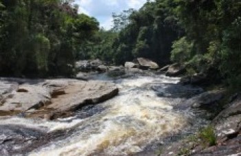 Parque é garantia de contato com a natureza e lazer
