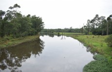 Prefeitos celebram ações de desassoreamento na região