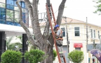 Iluminação natalina será inaugurada hoje: