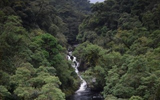 Grupo é resgatado depois de se perder em mata de Biritiba