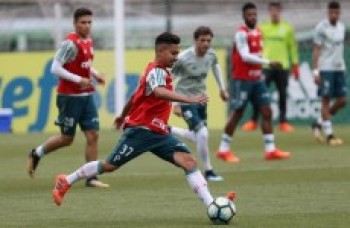Palmeiras tenta o vice-campeoneato