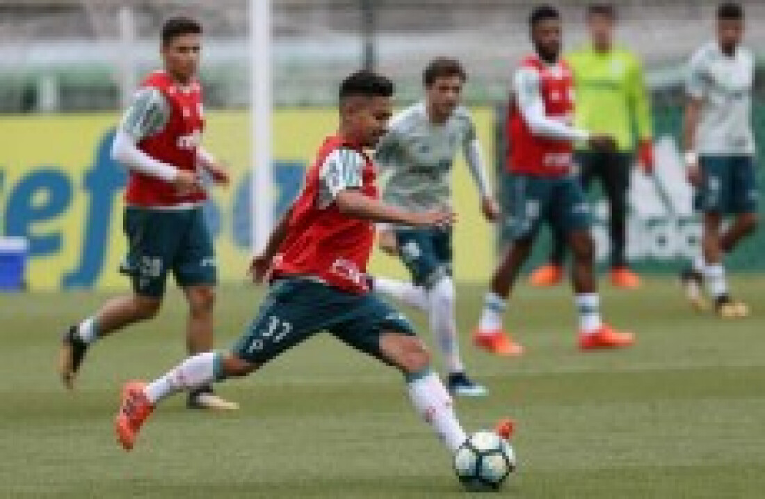 Palmeiras tenta o vice-campeoneato