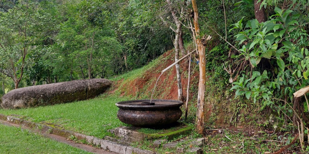 Projeto terá palestra sobre animais silvestres