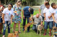 'Tigela Cheia' abre a sua 2ª edição