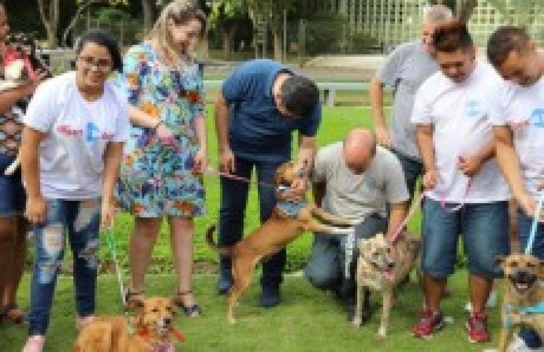 'Tigela Cheia' abre a sua 2ª edição