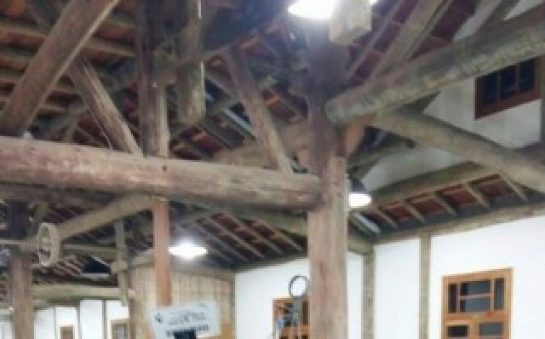 Casarão do Chá sedia a 3ª Exposição de Orquídeas