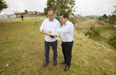 Vereador vistoria área de plantio de 4 mil árvores