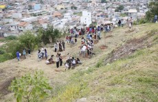 Jd. Layr começa a receber plantio de 4 mil mudas