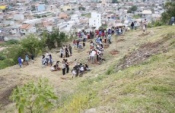 Jd. Layr começa a receber plantio de 4 mil mudas