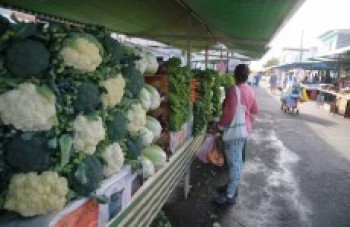 Atividade Delegada deve ser implantada nas ruas em 2020