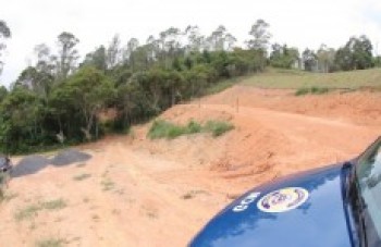 GCM flagra crime ambiental em bairro de Palmeiras