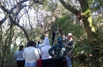 Ilha Marabá fecha até dia 5