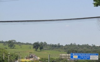 Pouco mais de 403 mil veículos são esperados