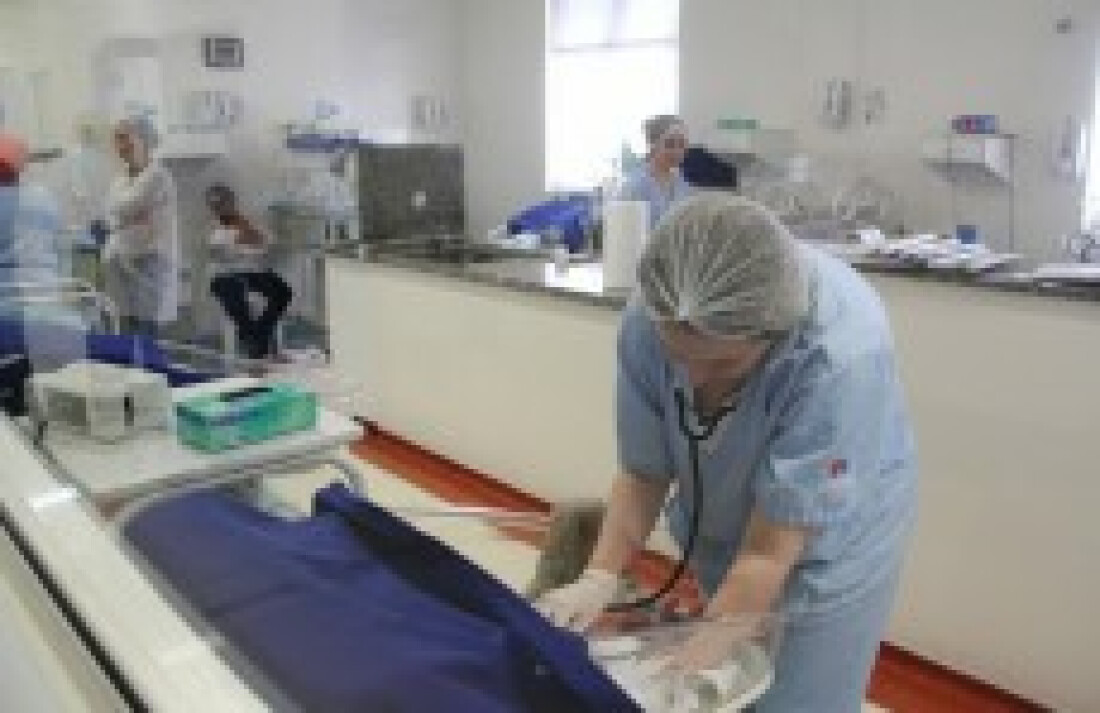 Câmara propõe construção de maternidade municipal