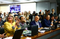 CCJ do Senado aprova parecer de parlamentar