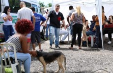 Ferraz realizar 518 testes de HIV e sífilis