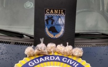 GCM apreende drogas em bairro de Palmeiras