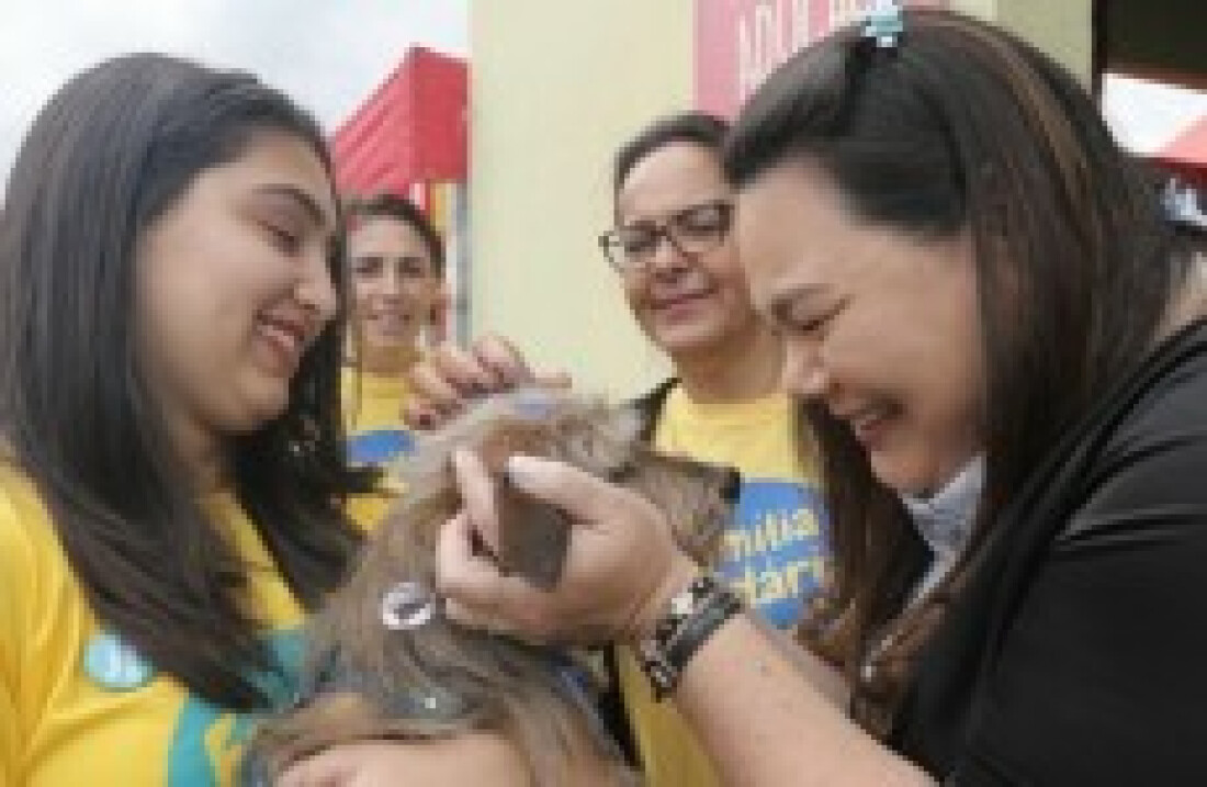 Mercado Produtor recebe feira de adoção das 10 às 14 horas