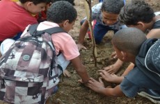 Estudantes fazem plantação em parque