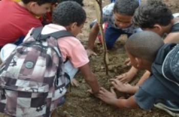 Estudantes fazem plantação em parque