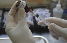 Poá imuniza 16 mil contra febre amarela