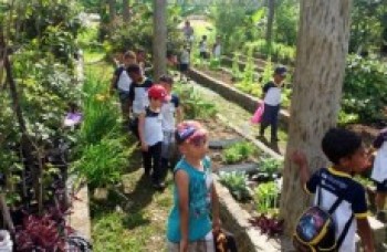 Prefeitura realiza plantio de 150 mudas