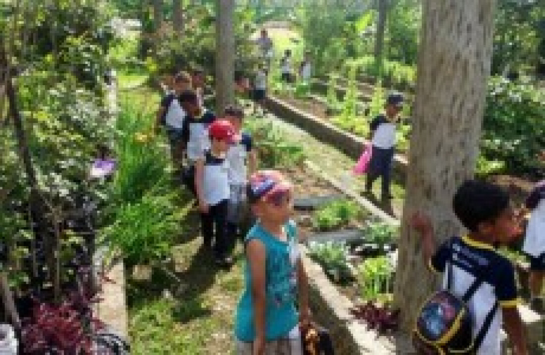 Prefeitura realiza plantio de 150 mudas