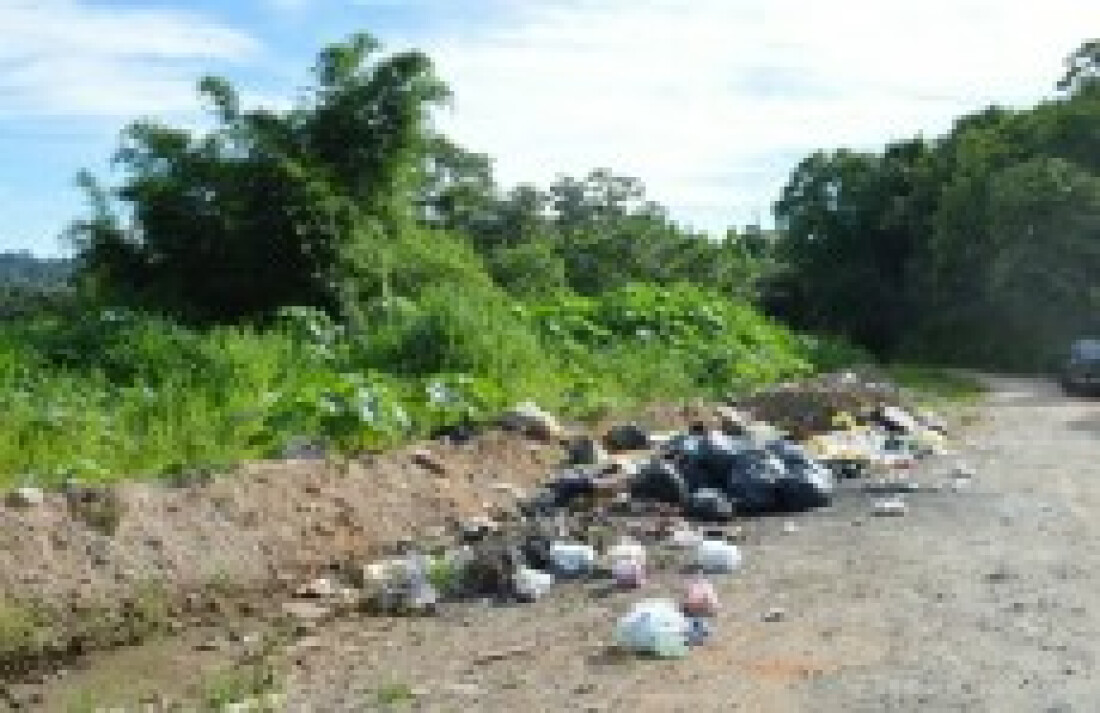 Multa por descarte irregular pode ultrapassar R$ 3 mil