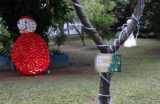 'Casa do Noel' fica aberta ao público até dia 22 deste mês
