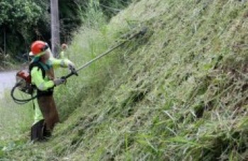 Cuida Mogi atenderá dois bairros