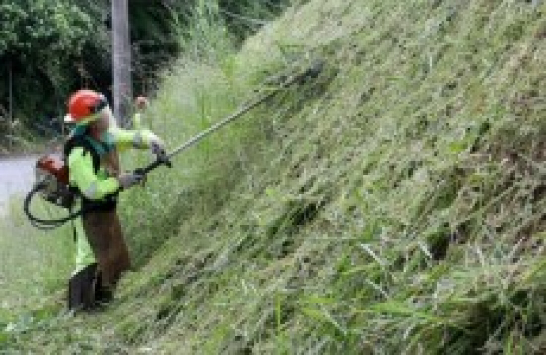 Cuida Mogi atenderá dois bairros
