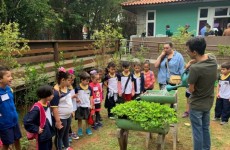 Exposição da Mata Atlântica ocorre hoje
