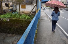 Chuva forte traz queda de árvore e torre de energia