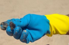 Óleo no RJ pode ser o mesmo do Nordeste