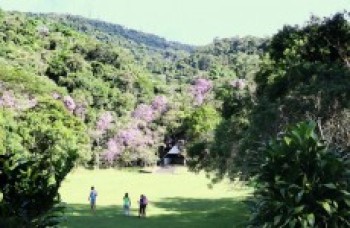 Visita monitorada ao parque ocorre amanhã